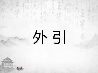 外引