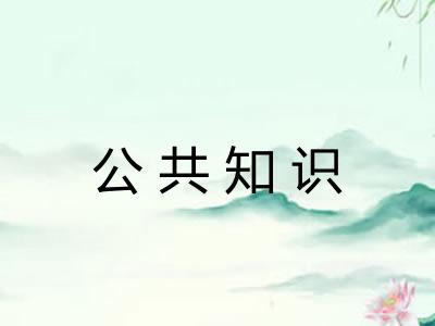 公共知识