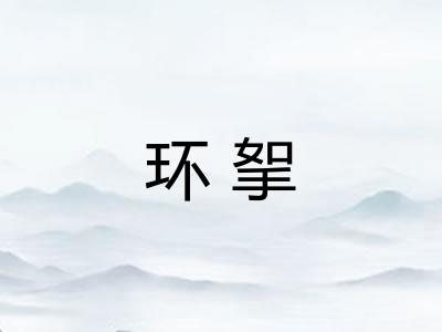 环挐