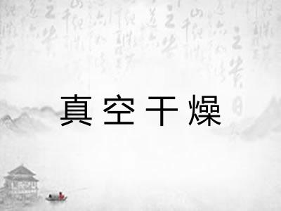 真空干燥 真空干燥