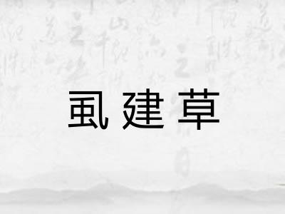 虱建草