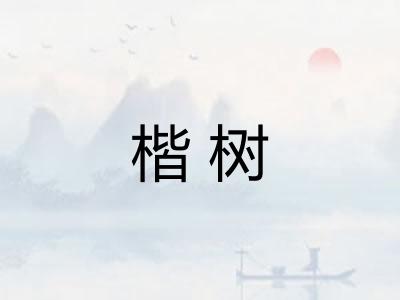 楷树
