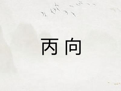 丙向