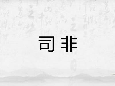 司非