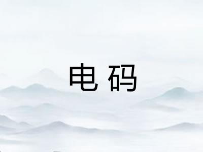 电码 电码