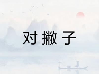 对撇子