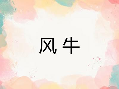 风牛