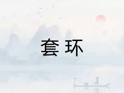 套环 套环