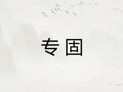 专固