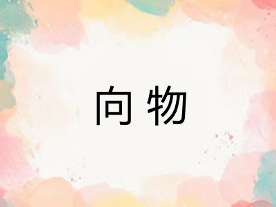 向物 向物