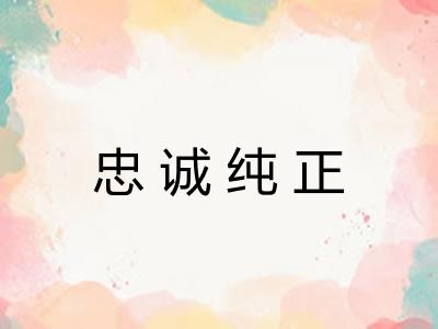 忠诚纯正