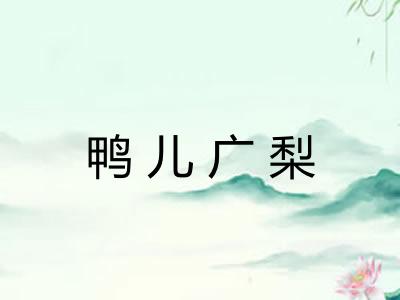 鸭儿广梨 鸭儿广梨