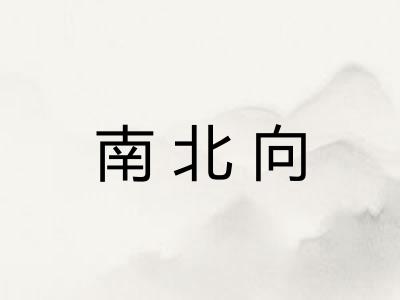 南北向
