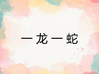 一龙一蛇