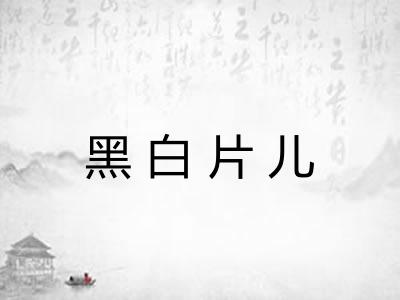 黑白片儿 黑白片儿