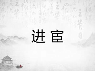 进宦