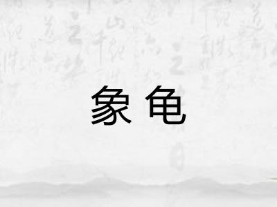 象龟 象龟