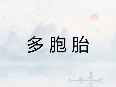 多胞胎