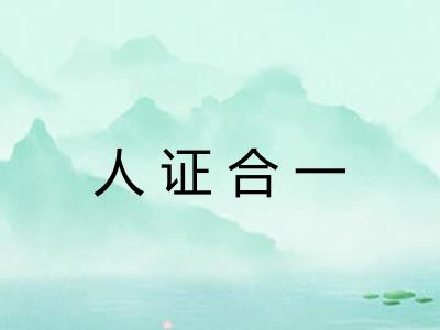 人证合一