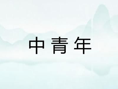 中青年