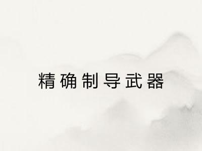 精确制导武器