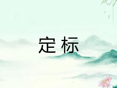 定标