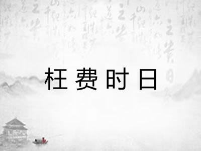枉费时日 枉费时日