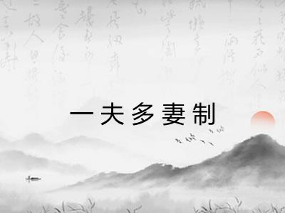 一夫多妻制 一夫多妻制