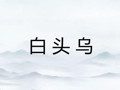 白头乌