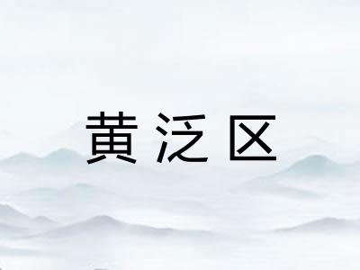 黄泛区