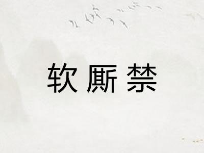 软厮禁 软厮禁