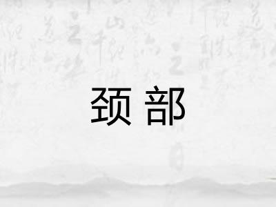 颈部 颈部