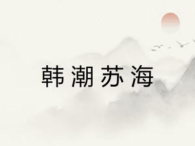 韩潮苏海