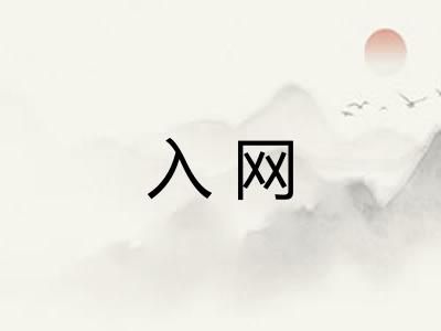 入网