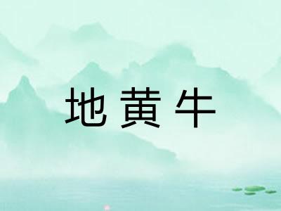 地黄牛