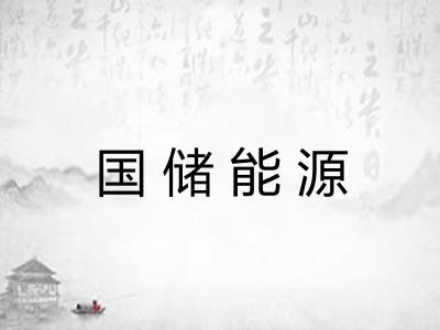 国储能源