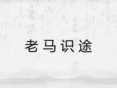 老马识途