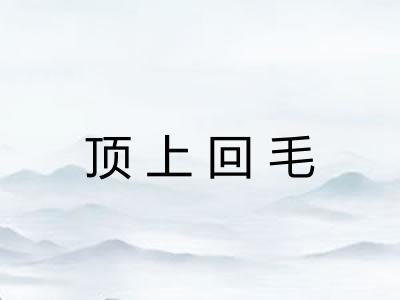 顶上回毛 顶上回毛
