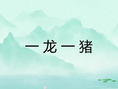 一龙一猪
