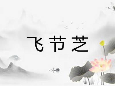 飞节芝