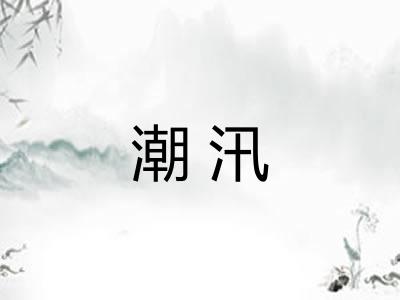 潮汛 潮汛