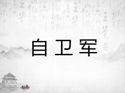自卫军 自卫军
