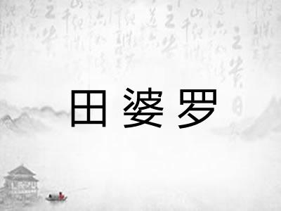 田婆罗