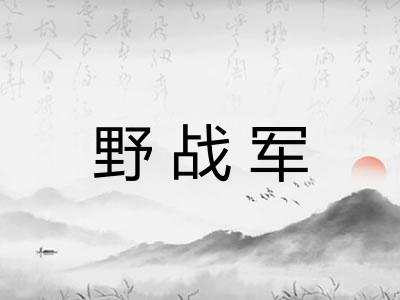 野战军