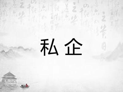私企