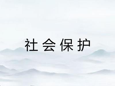 社会保护