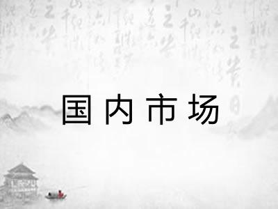 国内市场