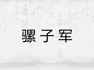 骡子军 骡子军