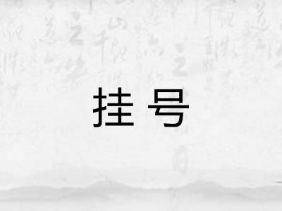 挂号 挂号