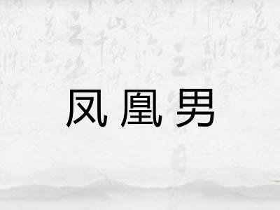 凤凰男